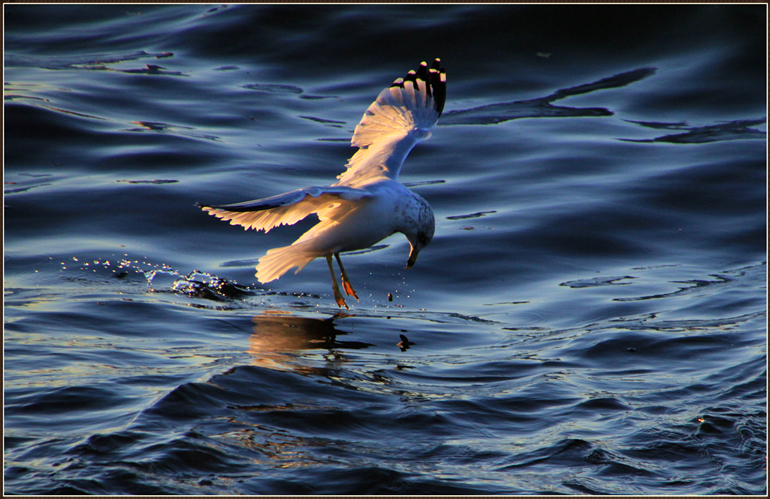 IMG_6273_.jpg