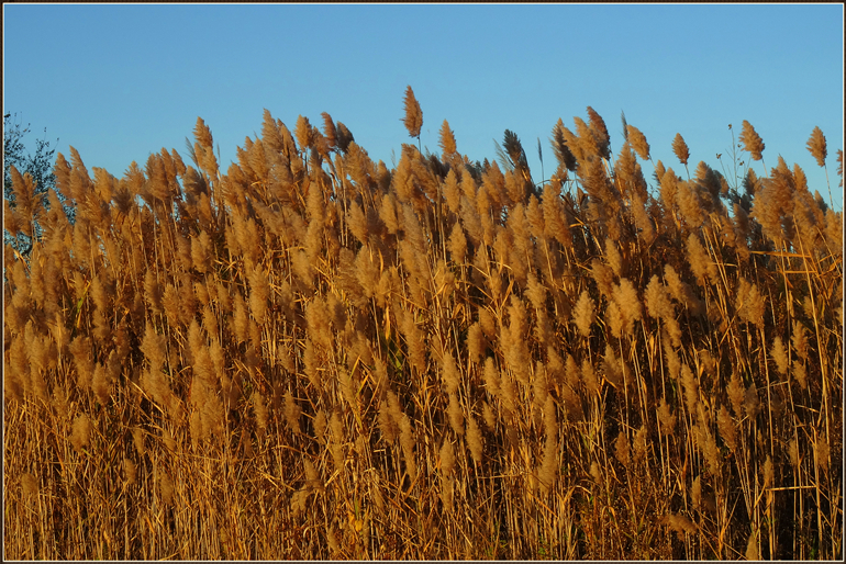 dsc00107_.jpg