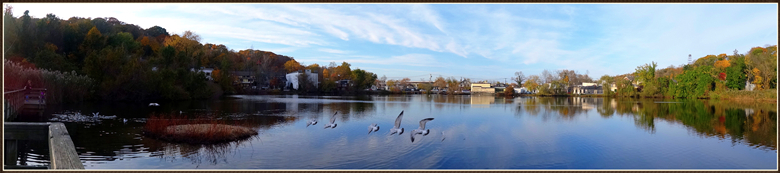 dsc09113_.jpg