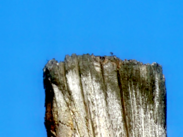dsc08792_.jpg