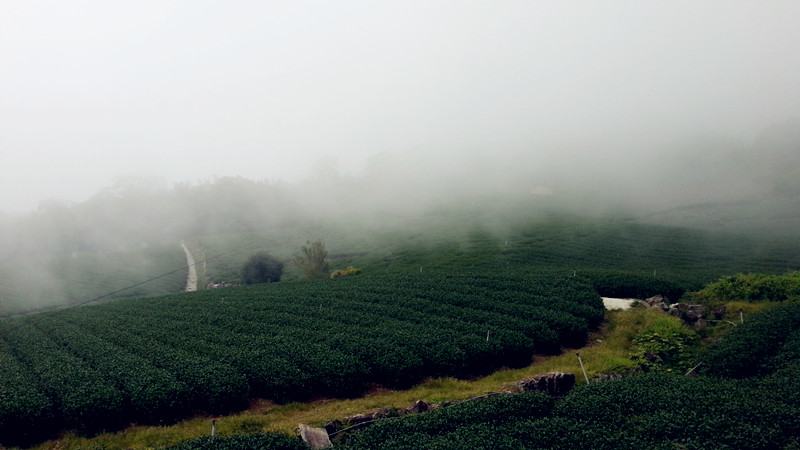 20141004_113908_.jpg