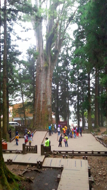 20141003_164449__.jpg