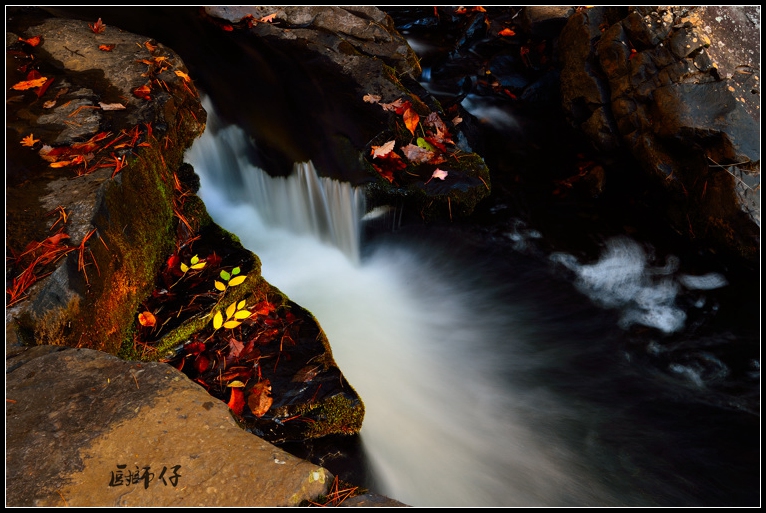 DSC_7468.jpg