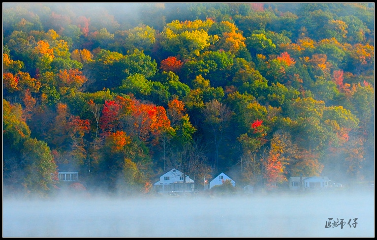 DSC_7108.jpg