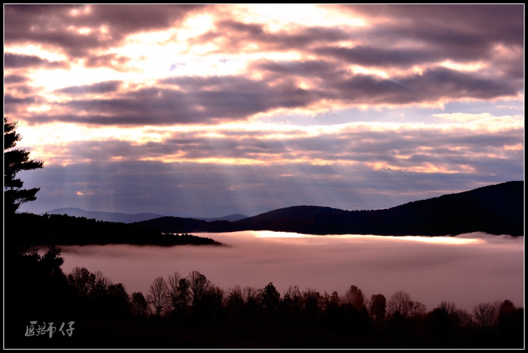 DSC_6786a.jpg