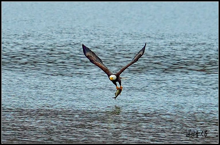 DSC_8451a.jpg