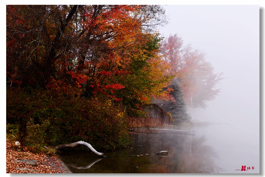 DSC_6556__.jpg