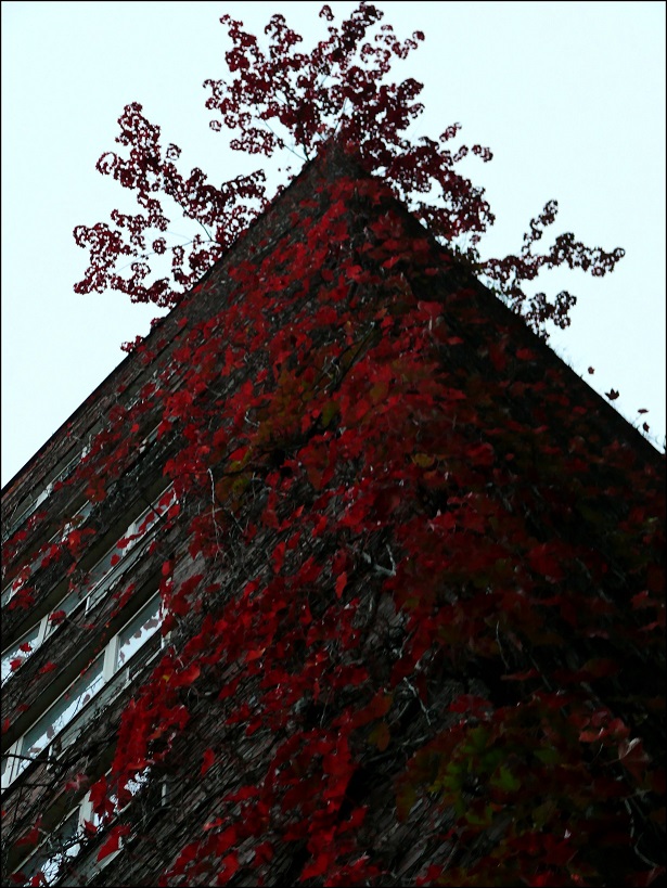 l1790593_conew2.jpg