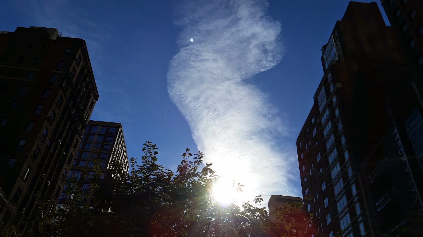 20141102_134308[2].jpg