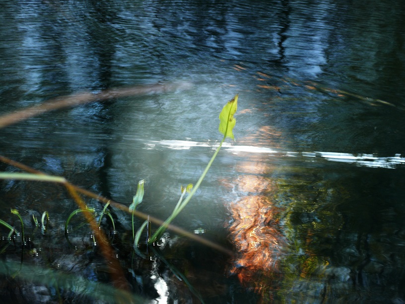 l1860602_conew1.jpg