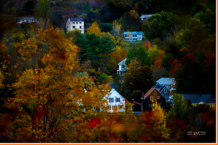 DSC_0123C.jpg