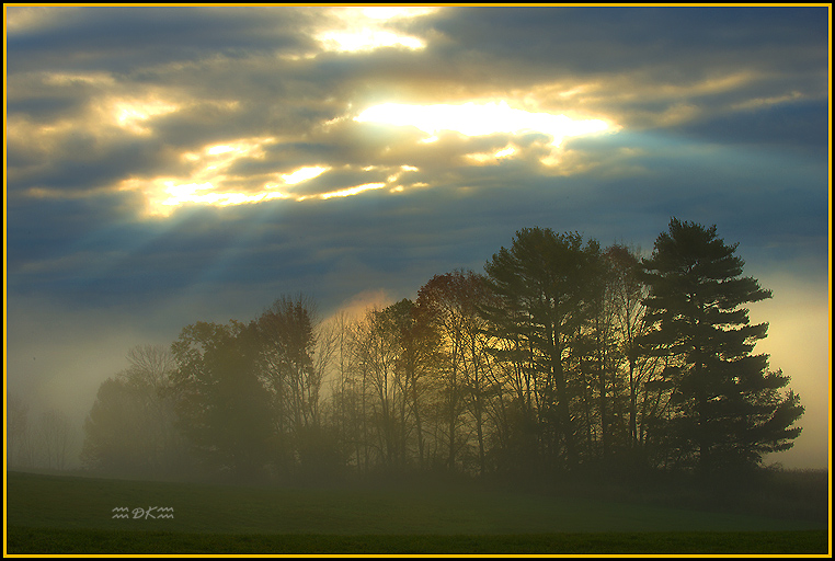 DSC_0366C.jpg