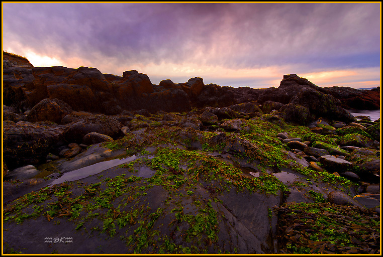 DSC_9772C1.jpg