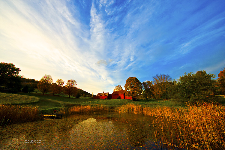 DSC_8572C.jpg