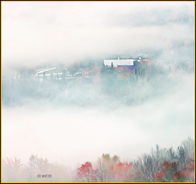 DSC_0314C1.jpg