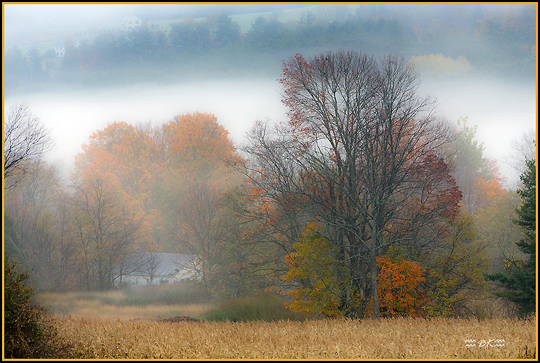 DSC_0296C1.jpg
