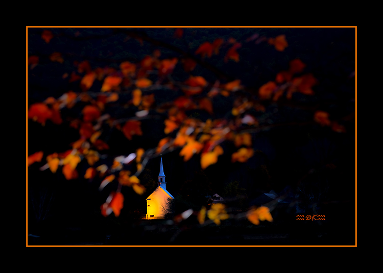 DSC_8984C.jpg