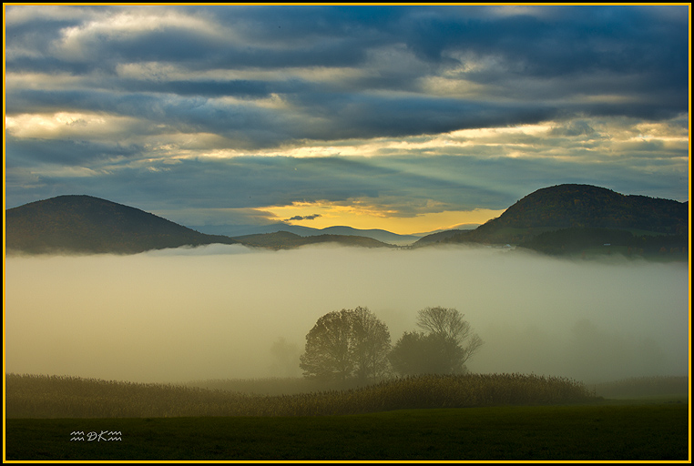 DSC_0400C.jpg