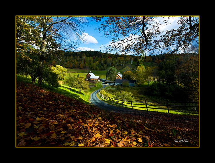 DSC_8505C1.jpg