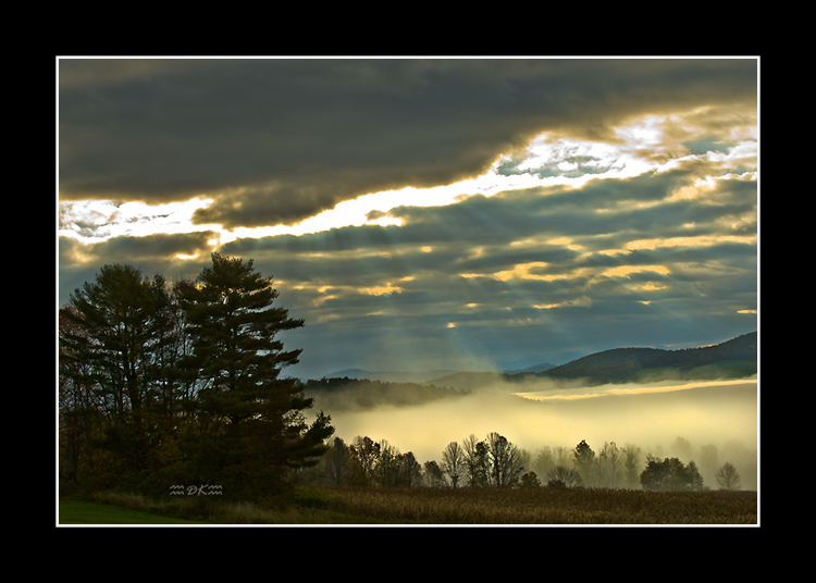 DSC_0437A.jpg