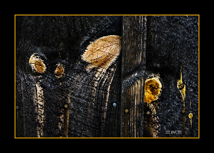 DSC_8458C1.jpg