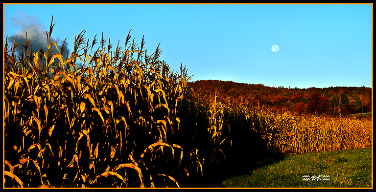 DSC_9141C.jpg