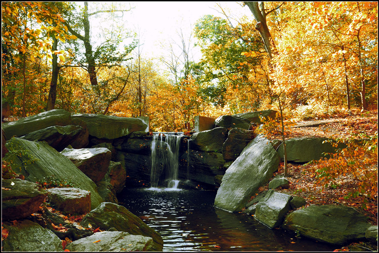 _DSC9277.jpg