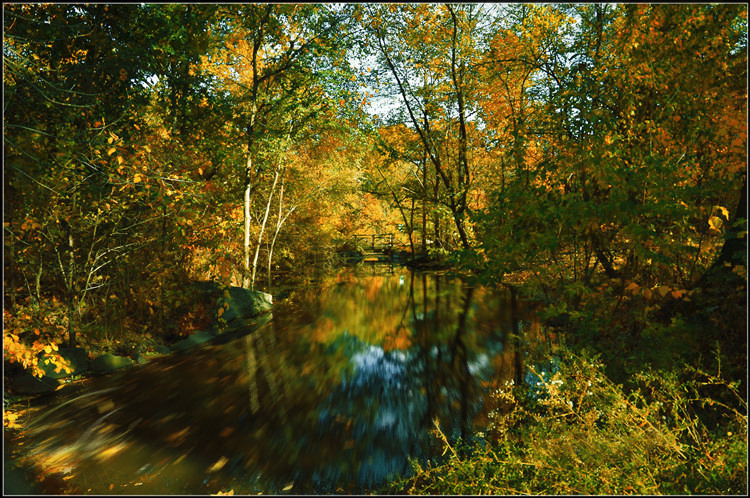 _DSC9294.jpg