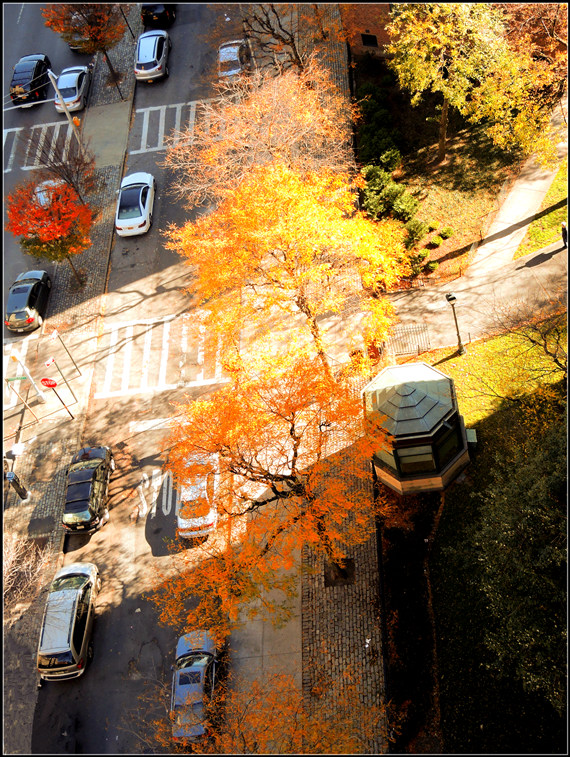 DSCN5225.jpg