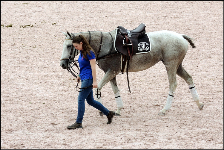 DSCN4688.jpg