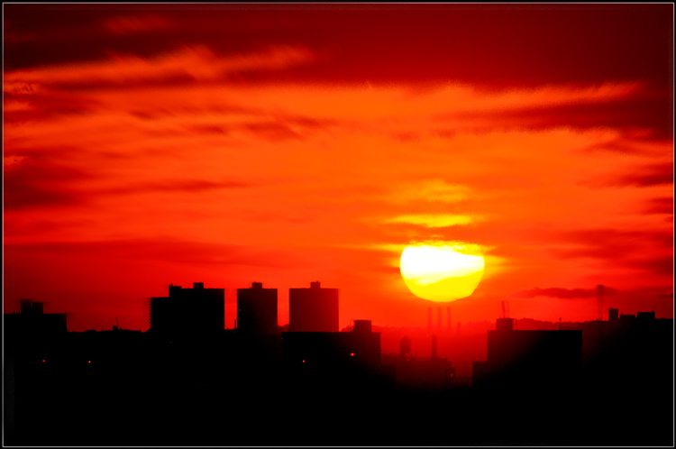 _DSC7160_.jpg
