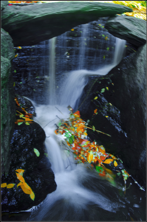 _DSC9305.jpg