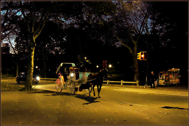 DSCN5266.jpg