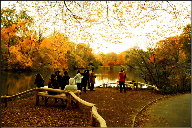 DSCN5243.jpg