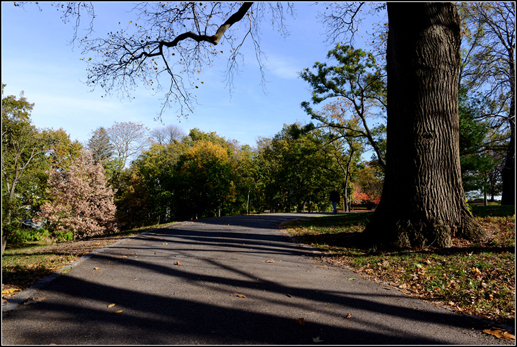 DSC_8786.jpg