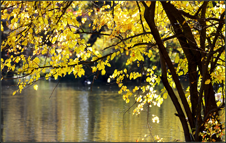 DSC_9628.jpg