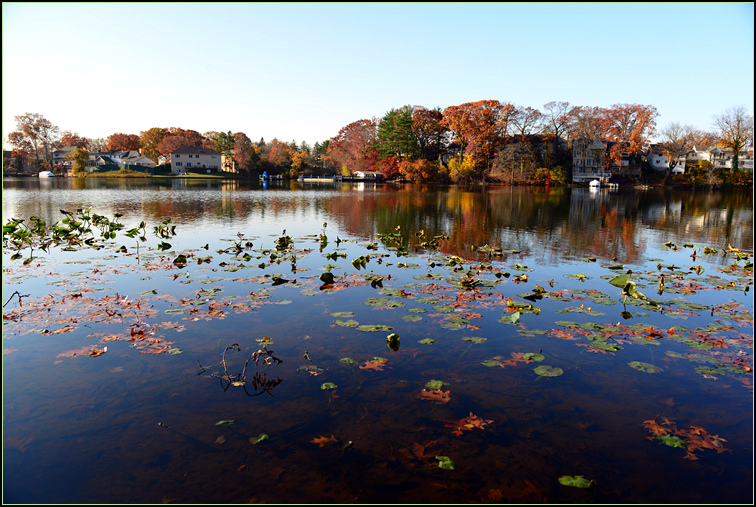 DSC_0210.jpg