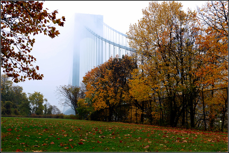 DSC_9478.jpg