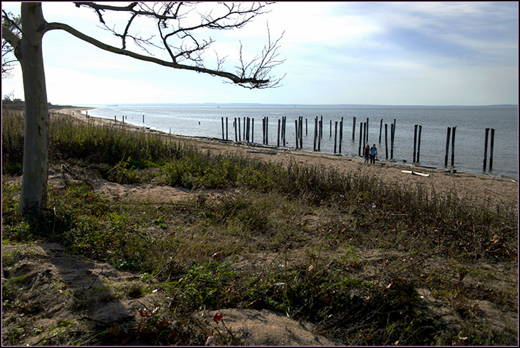 DSC_9121.jpg