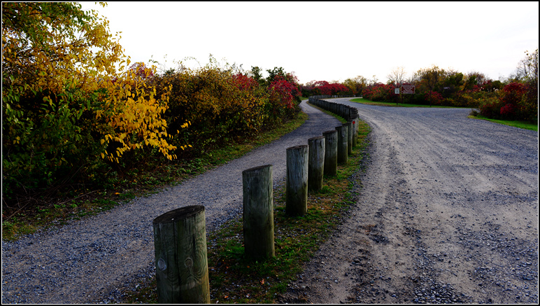 DSC_9227.jpg