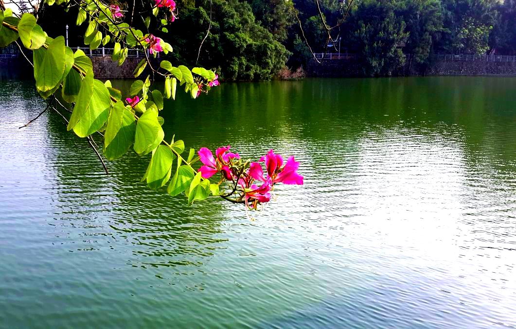 2014-11-19 15.29.49.jpg