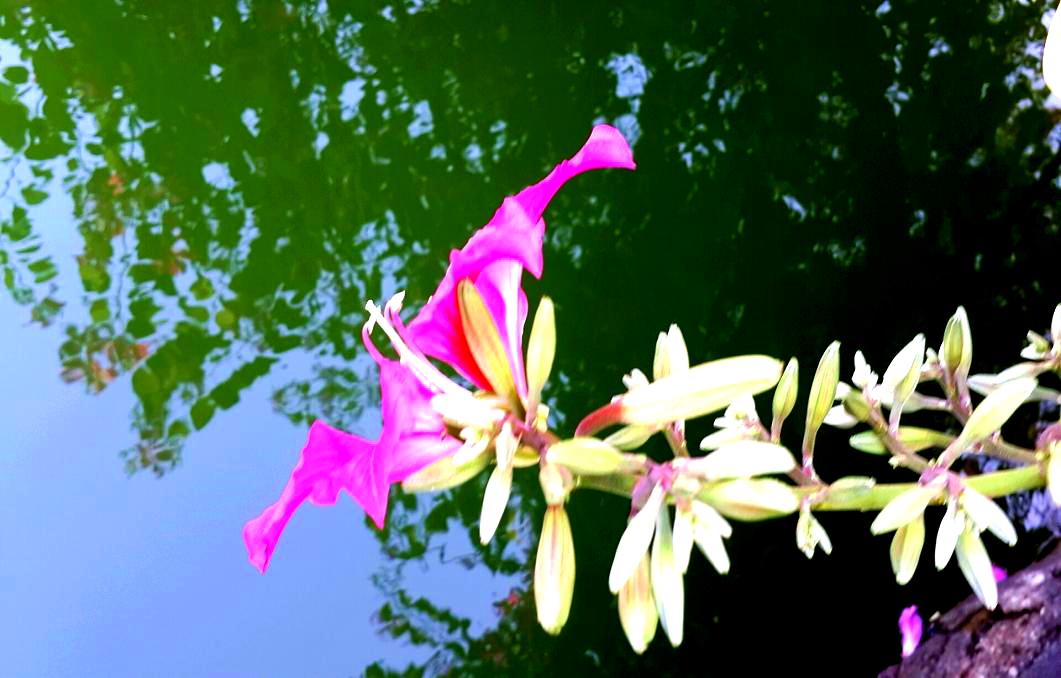 2014-11-19 15.32.07.jpg