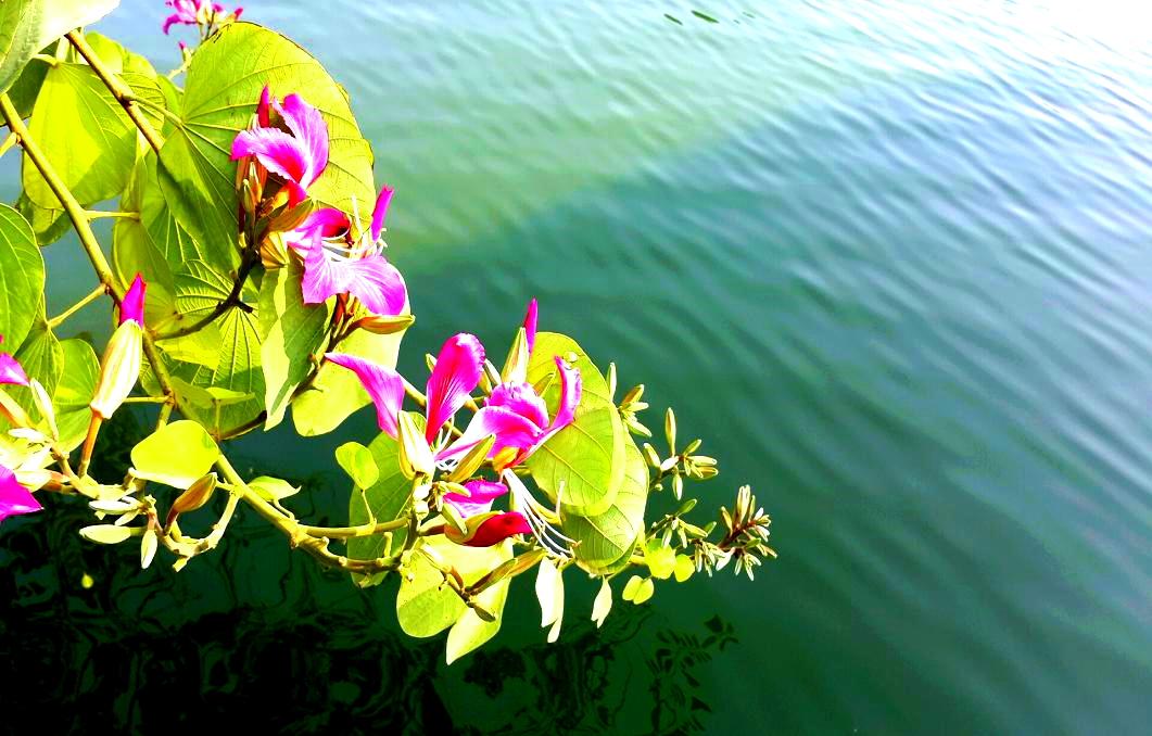 2014-11-19 15.29.35.jpg