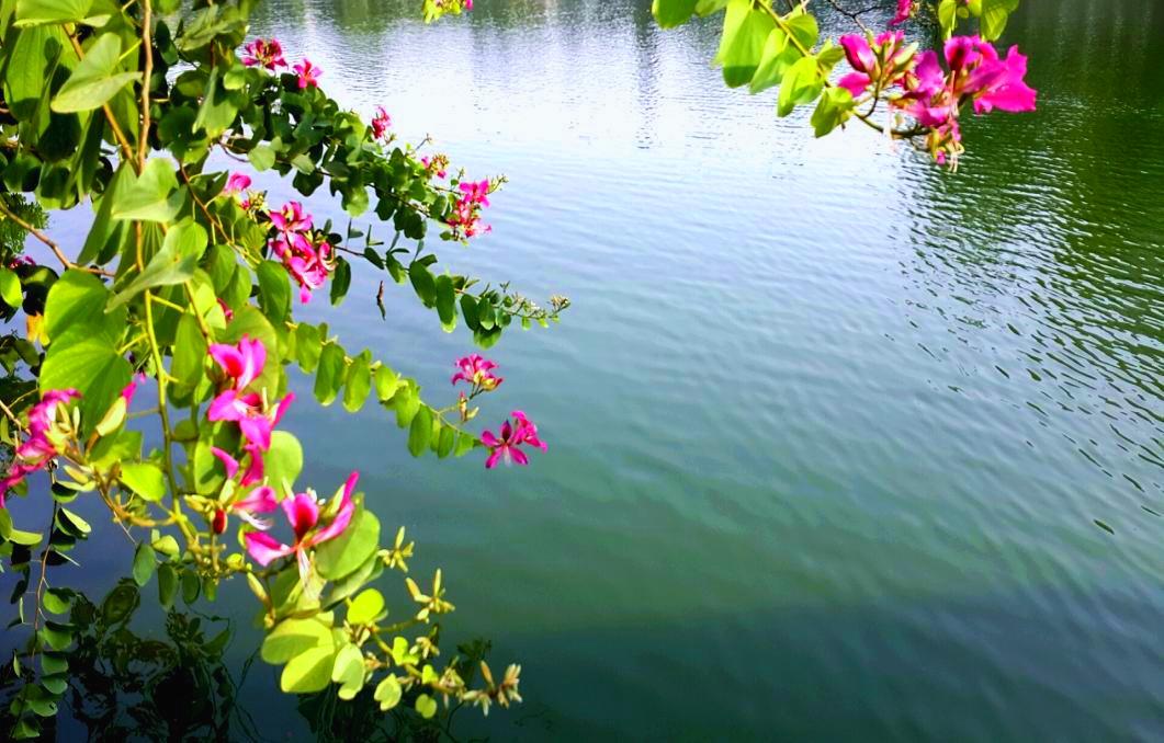 2014-11-19 15.29.20.jpg