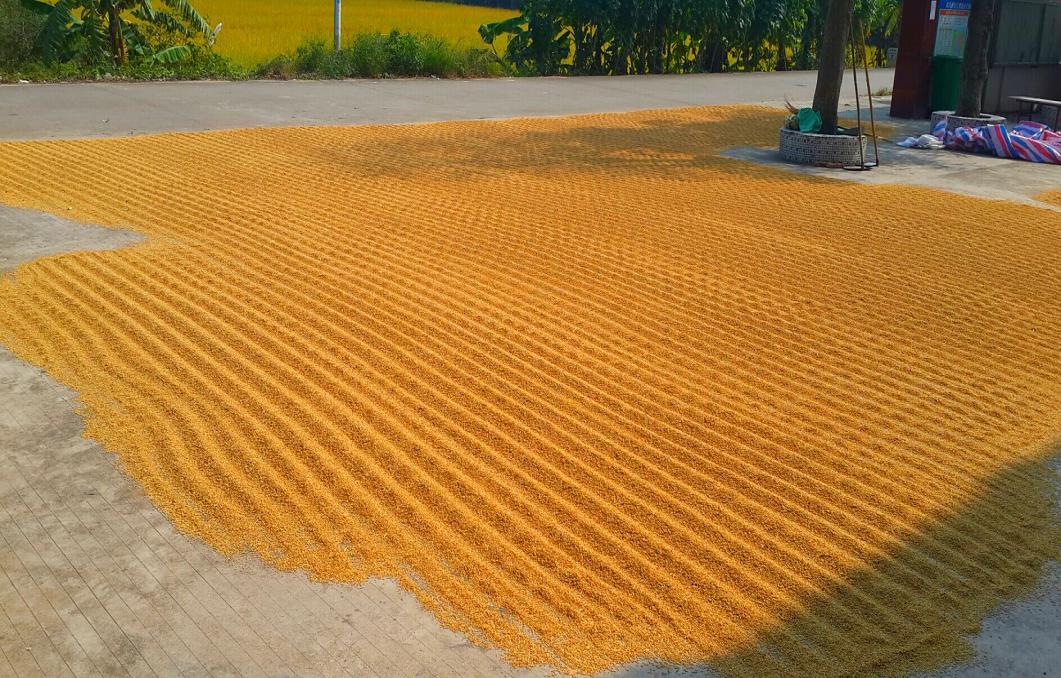 2014-11-15 13.30.24.jpg