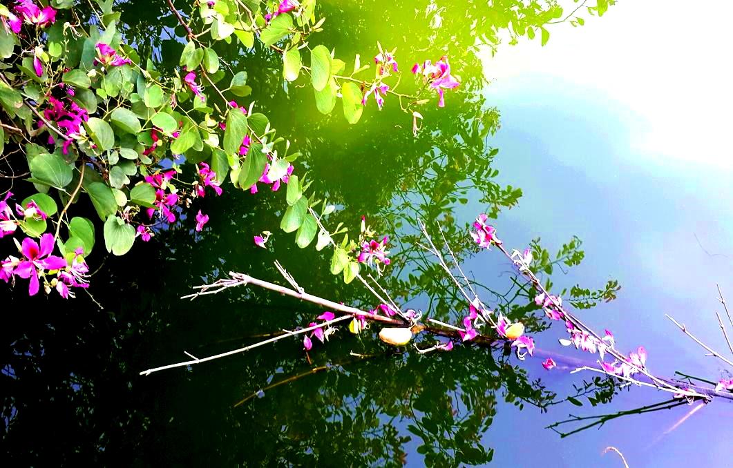 2014-11-19 15.31.52.jpg