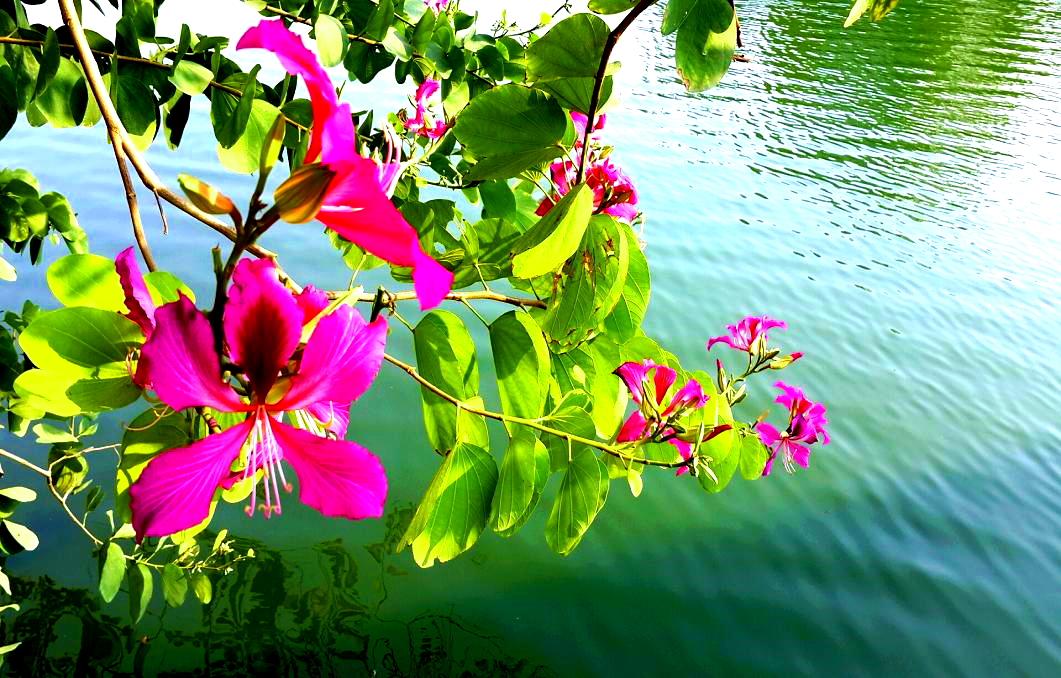 2014-11-19 15.30.05.jpg