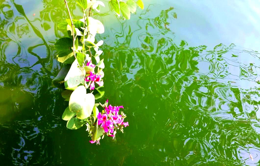 2014-11-19 15.30.21.jpg