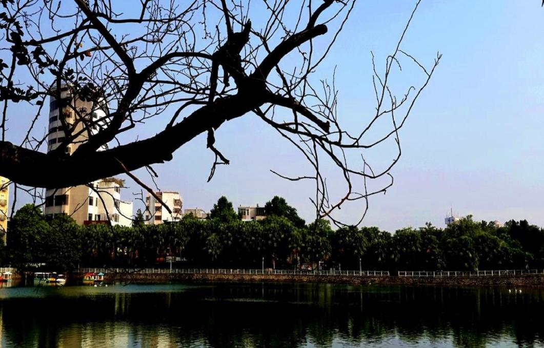 2014-11-19 15.31.18.jpg