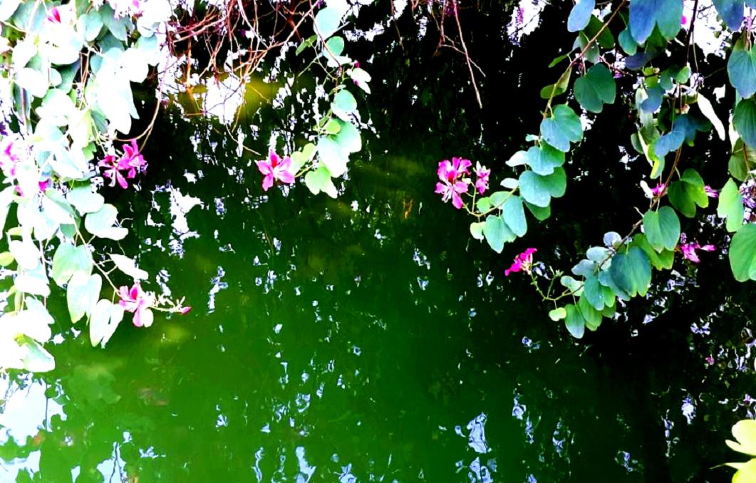 2014-11-19 15.32.21.jpg